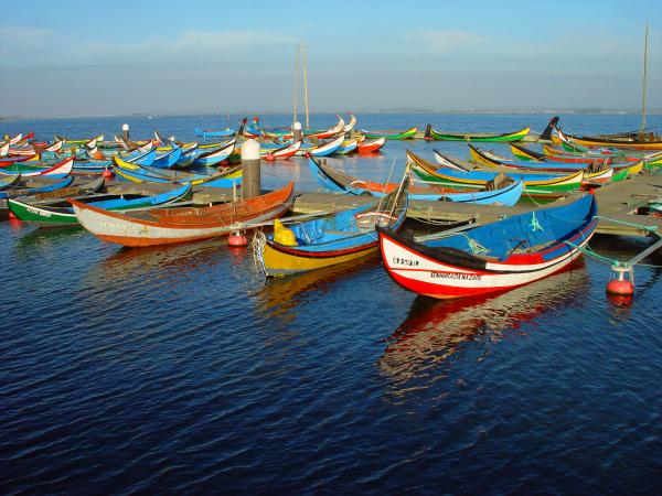 traditional boats in Portugal